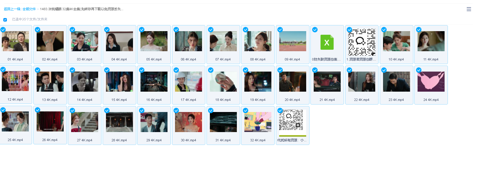 许我耀眼 32集4K全集(先转存再下载以免资源丢失）
