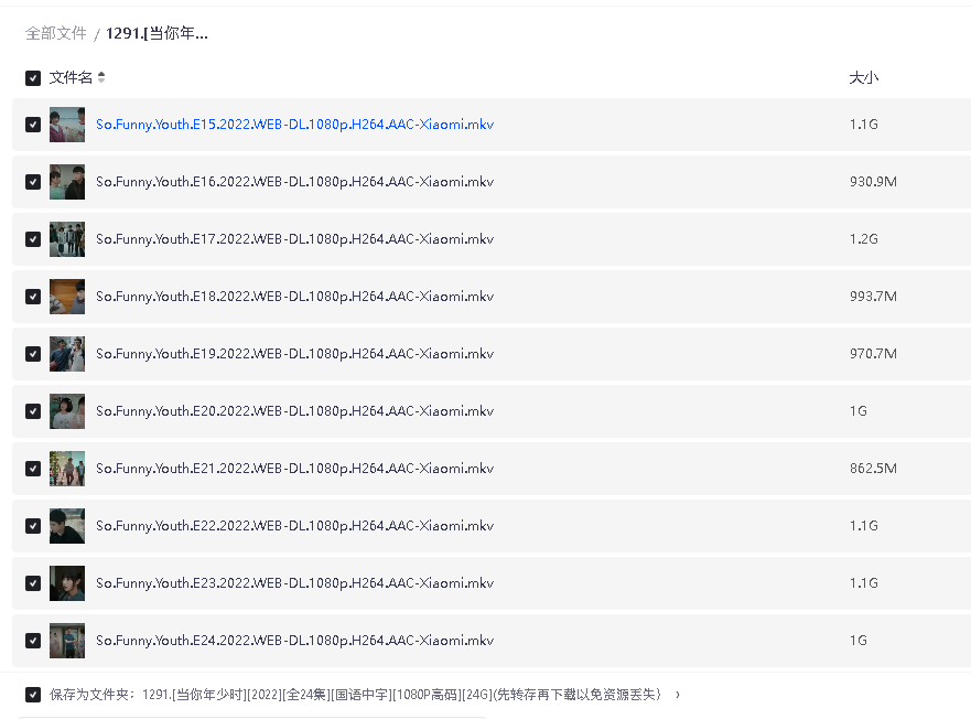 [当你年少时][2022][全24集][国语中字][1080P高码][24G](先转存再下载以免资源丢失）