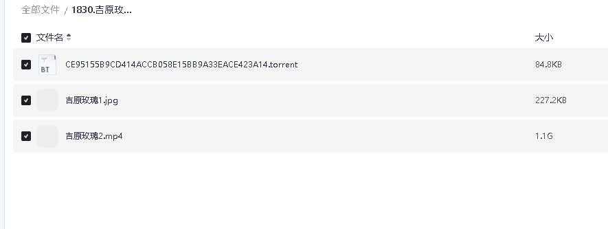 吉原玫瑰1~2(先转存再下载以免资源丢失）