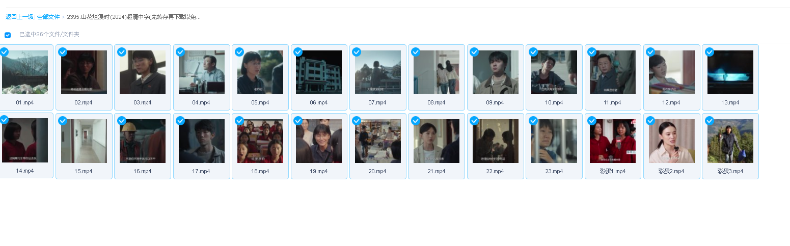 山花烂漫时 (2024)超清中字(先转存再下载以免资源丢失）