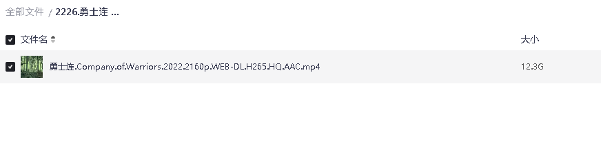 勇士连 (2022)超清中字(先转存再下载以免资源丢失）
