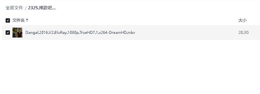 摔跤吧！爸爸[国语配音+中文字幕+特效字幕](先转存再下载以免资源丢失）