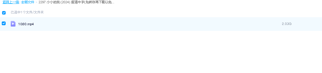 小小的我 (2024) 超清中字(先转存再下载以免资源丢失）