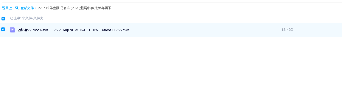 凶降喜讯 굿뉴스 (2025)超清中字(先转存再下载以免资源丢失）