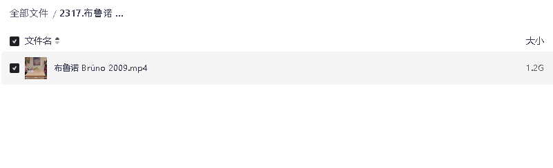 布鲁诺 Brüno (2009) 高清中字(先转存再下载以免资源丢失）