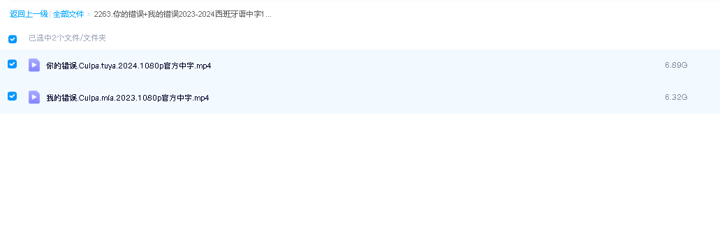 你的错误+我的错误2023-2024西班牙语中字1080P高码西班牙影 超清中字(先转存再下载以免资源丢失）