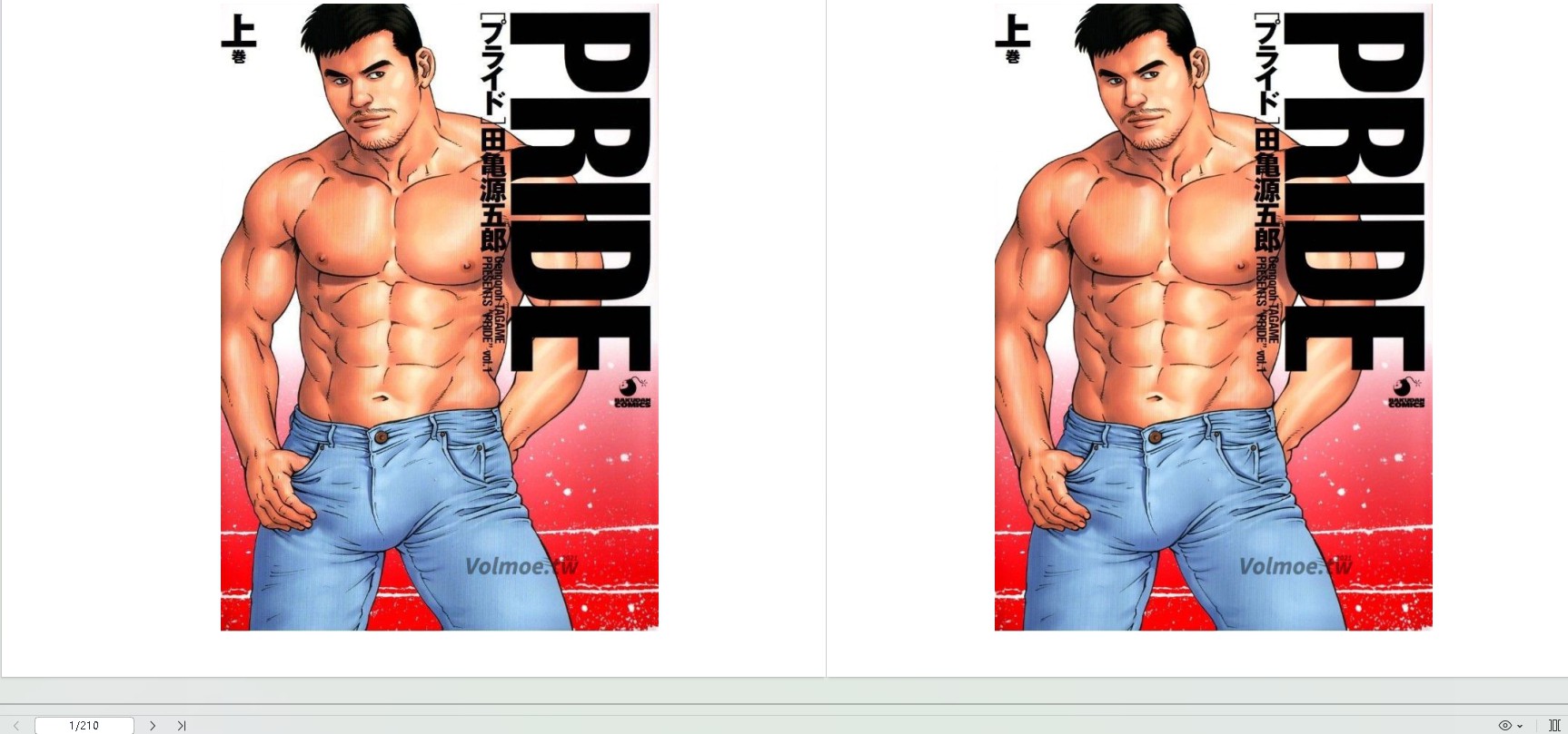 PRIDE 3卷全集(先转存再下载以免资源丢失）