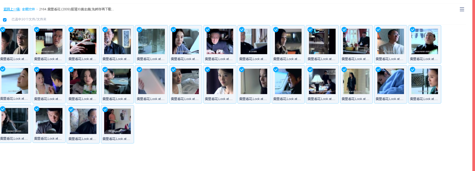 雾里看花 (2009)超清30集全集(先转存再下载以免资源丢失）