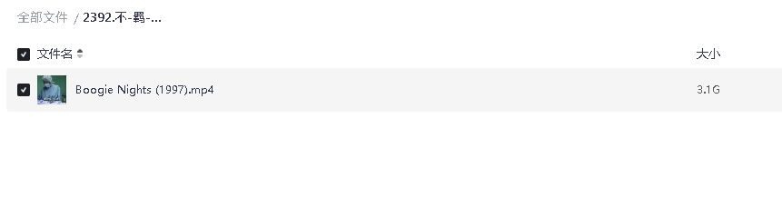 .不-羁-夜 Boogie Nights (1997)超清中字(先转存再下载以免资源丢失）