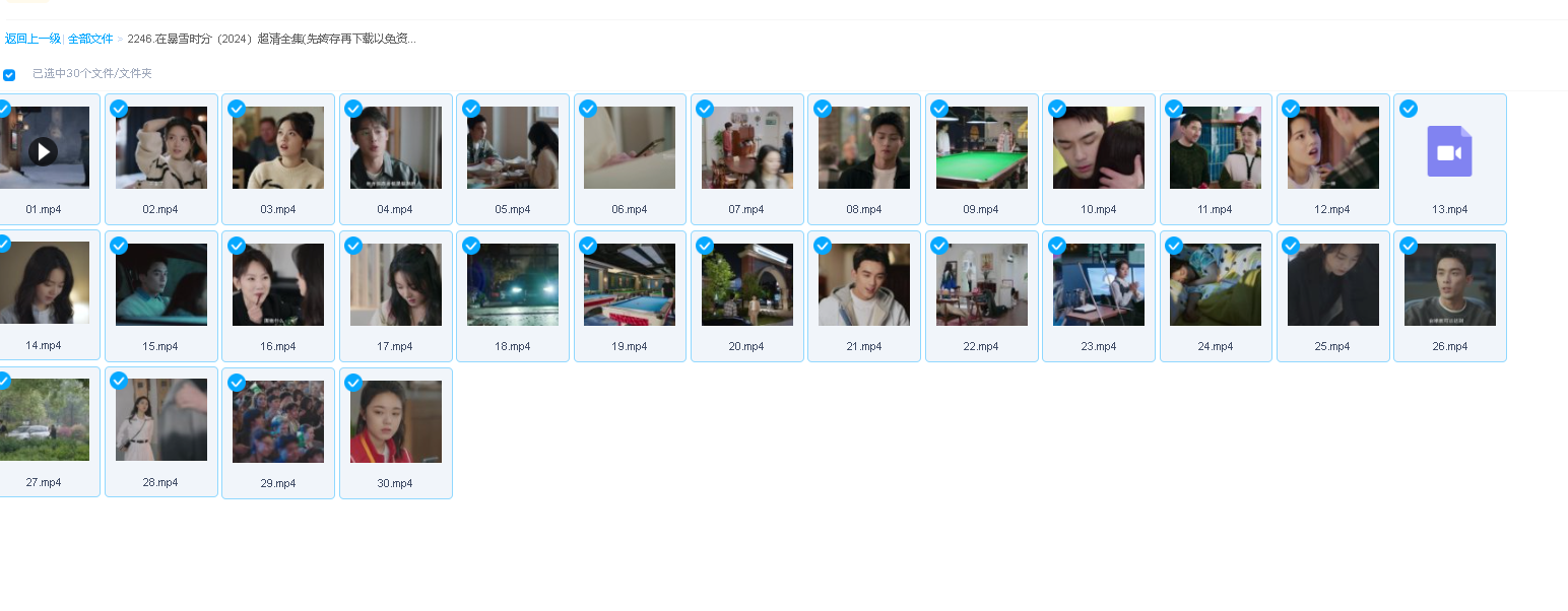 暴雪时分（2024）超清全集(先转存再下载以免资源丢失）