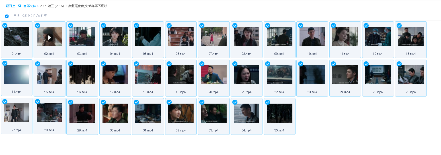 遮云 (2025) 35集超清全集(先转存再下载以免资源丢失）