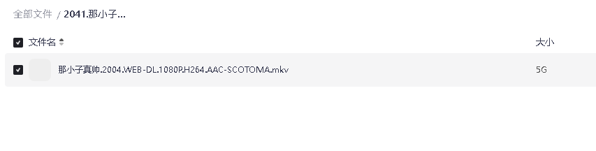 那小子真帅.2004 超清中字(先转存再下载以免资源丢失）