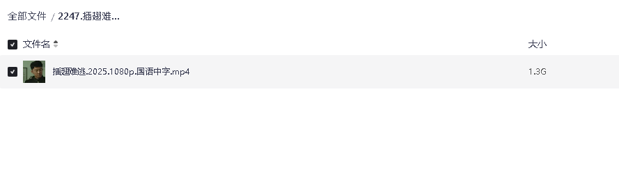 插翅难逃.2025.1080p.超清中字(先转存再下载以免资源丢失）