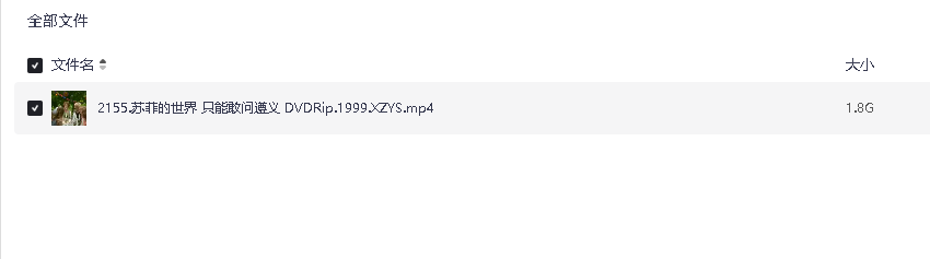 苏菲的世界 只能敢问遵义 DVDRip.1999.XZYS