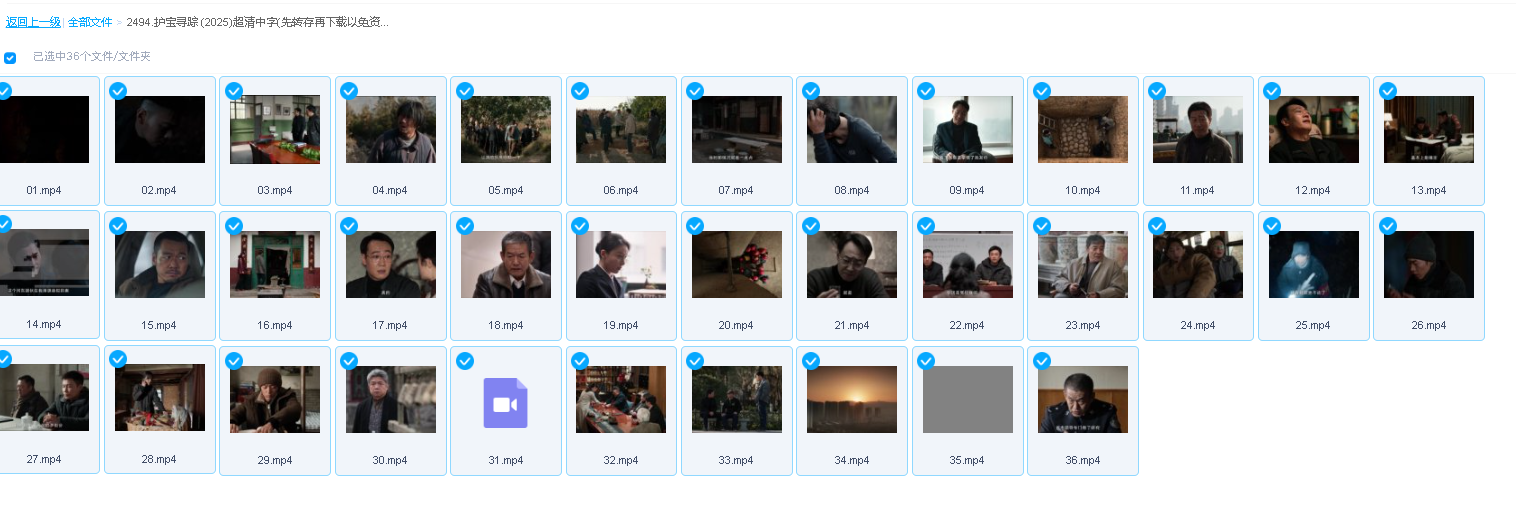 护宝寻踪 (2025)超清中字(先转存再下载以免资源丢失）