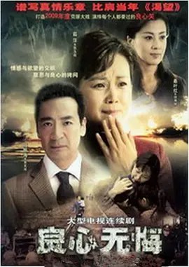 良心无悔 (2009) 35集全集中文字幕(先转存再下载以免资源丢失）